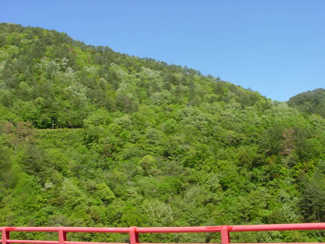 d0025421_14543710.jpg