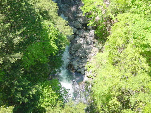 d0025421_1459416.jpg