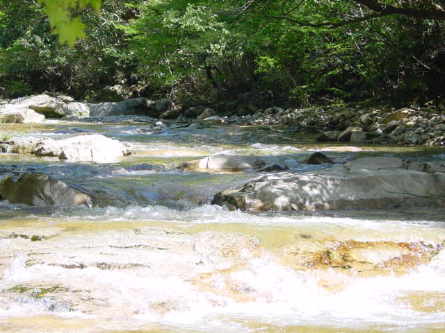 d0025421_1561039.jpg