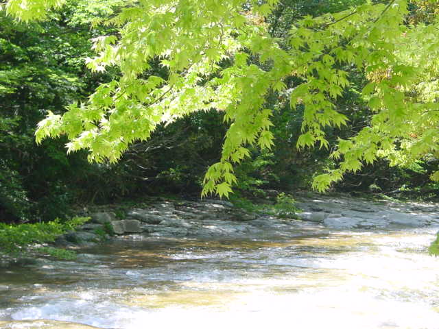 d0025421_1575587.jpg