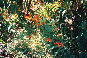 d0002224_05262.jpg