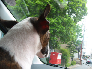 c0073152_1471334.jpg
