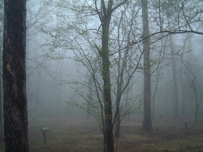 b0045357_10422763.jpg