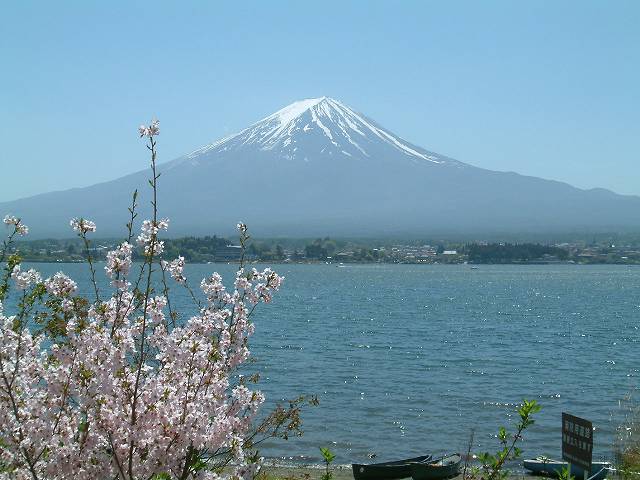 結婚披露宴・富士山麓の桜19_b0070657_1394757.jpg