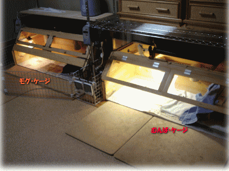 b0055276_20584968.gif