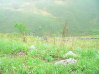 c0072486_133451.jpg