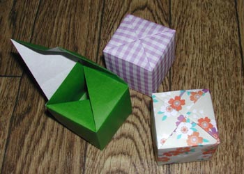 フジモト キューブ 一枚折りの立方体 あさざの池 フジモト キューブ 一枚折りの立方体 あさざの池