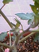 d0042600_21175263.jpg