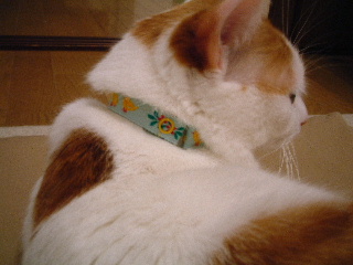 c0006312_22271442.jpg
