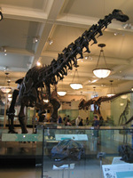 c0064534_5214977.jpg