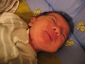 d0016750_15528.jpg