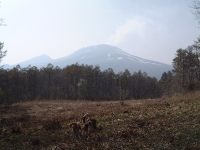 b0045357_15593153.jpg