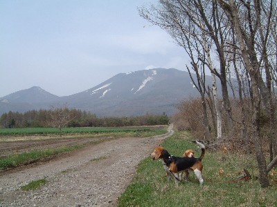 b0045357_162453.jpg