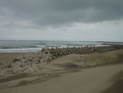 c0046361_1232447.jpg