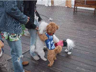 b0060071_22433995.gif