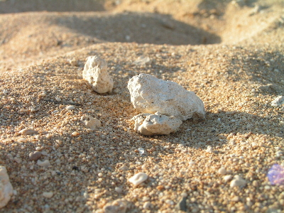 d0032693_1546572.jpg