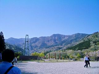 b0005001_03363.jpg