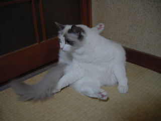 c0024410_21305867.jpg