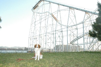c0065512_027527.jpg