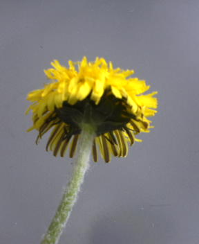 b0055151_8482743.jpg