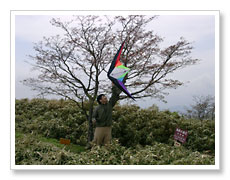 c0027383_222327.jpg