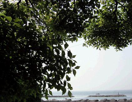 c0046587_0362510.jpg