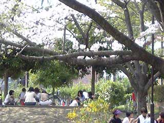 c0047589_18583617.jpg
