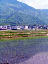 c0047201_861744.jpg