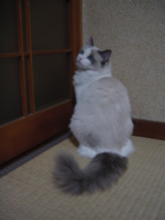 c0024410_204306.jpg