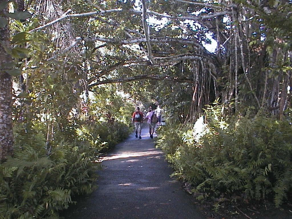 c0052217_21405792.jpg