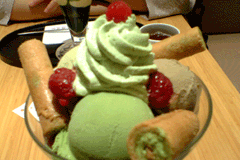 a0005321_19322644.gif