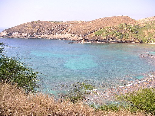 c0022748_11135491.jpg