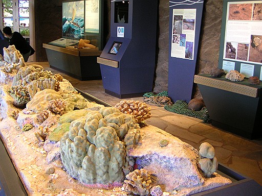 c0022748_11164960.jpg