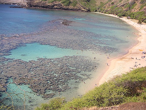 c0022748_11174841.jpg