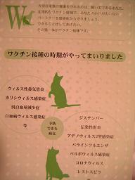 やっぱり年なのか。。。_c0049950_2104373.jpg