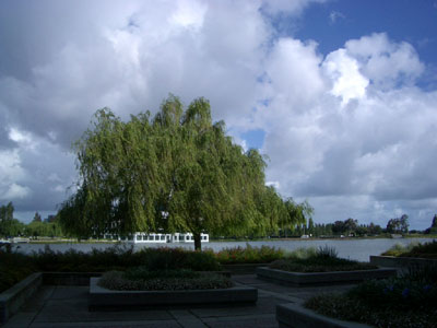 a0004752_1319422.jpg