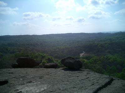 d0007756_6502962.jpg