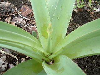b0067569_9482025.jpg