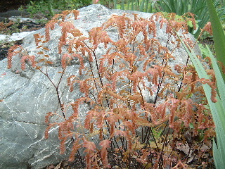 b0067569_9581729.jpg