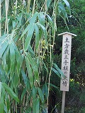 c0063587_12381293.jpg