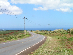 d0032693_1956143.jpg
