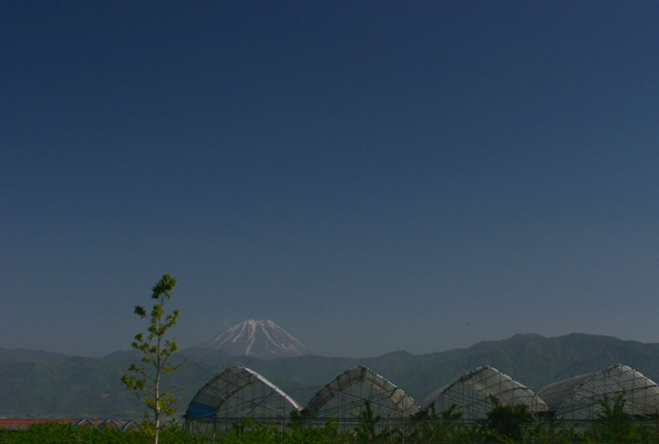 Mt.FUJI 2　05.05.04_c0032494_1781872.jpg