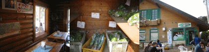 d0014408_15275571.gif