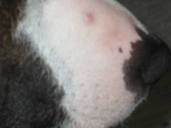 c0073152_22473959.jpg