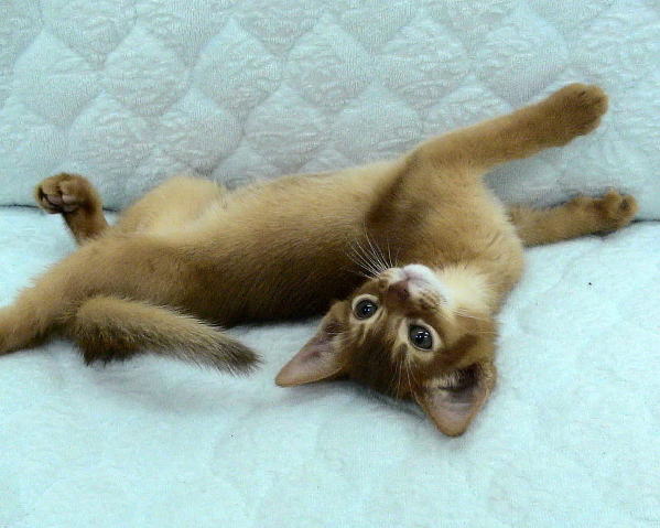 a0008064_002325.jpg