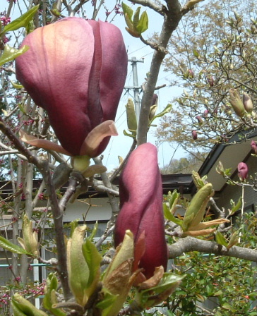 b0067569_1233712.jpg