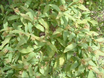 b0067569_1252033.jpg