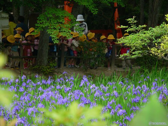 大田神社_a0020340_1795782.jpg