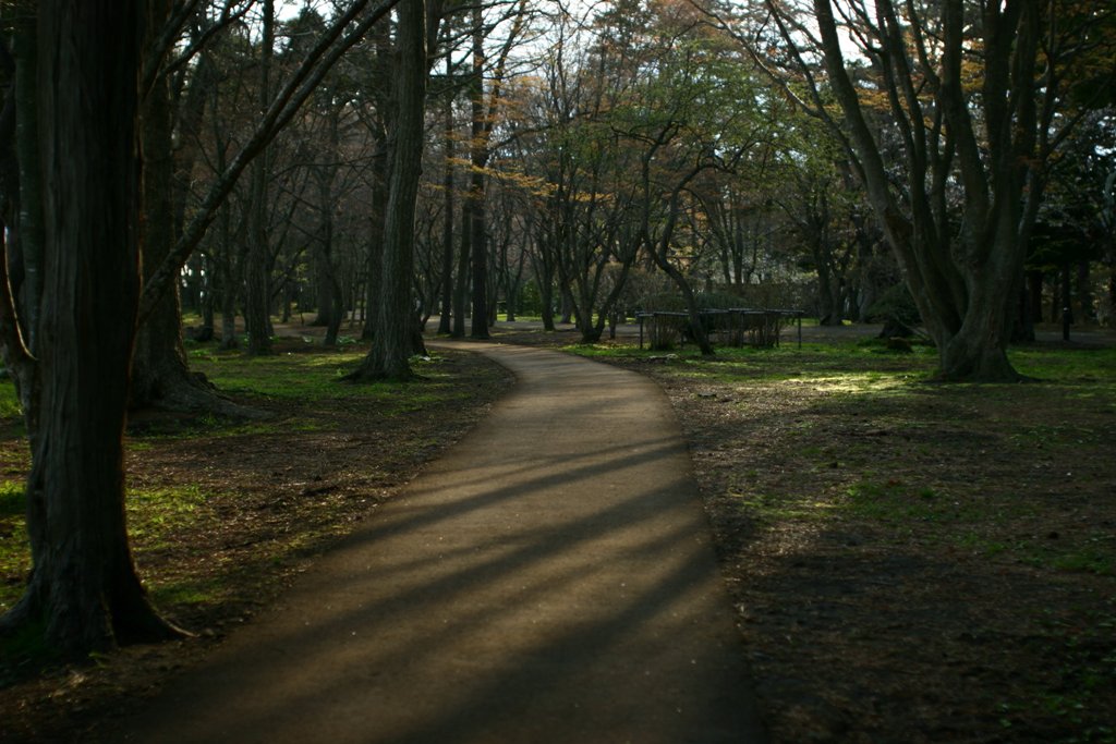 d0001745_392496.jpg