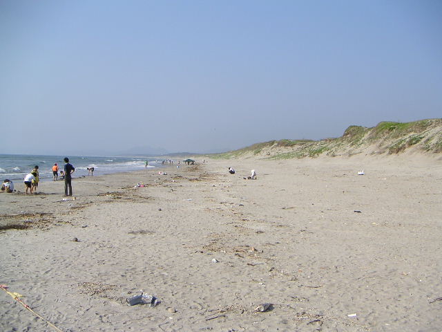c0051873_021363.jpg